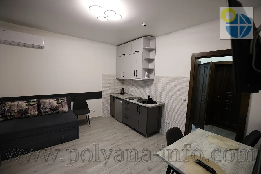 Сонячне Закарпаття(Поляна).Готель Вікторія