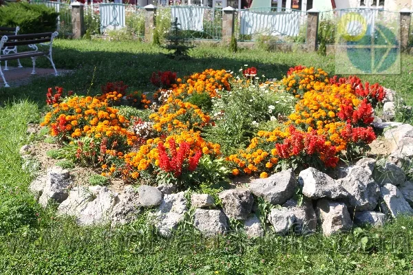 Сонячне Закарпаття(Поляна).Готель Смерічка